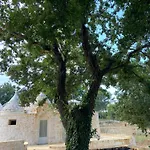 Trulli Dafani *