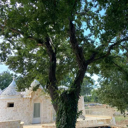Trulli Dafani *